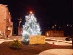 Community tree, compliments of  Brownsville Rotary